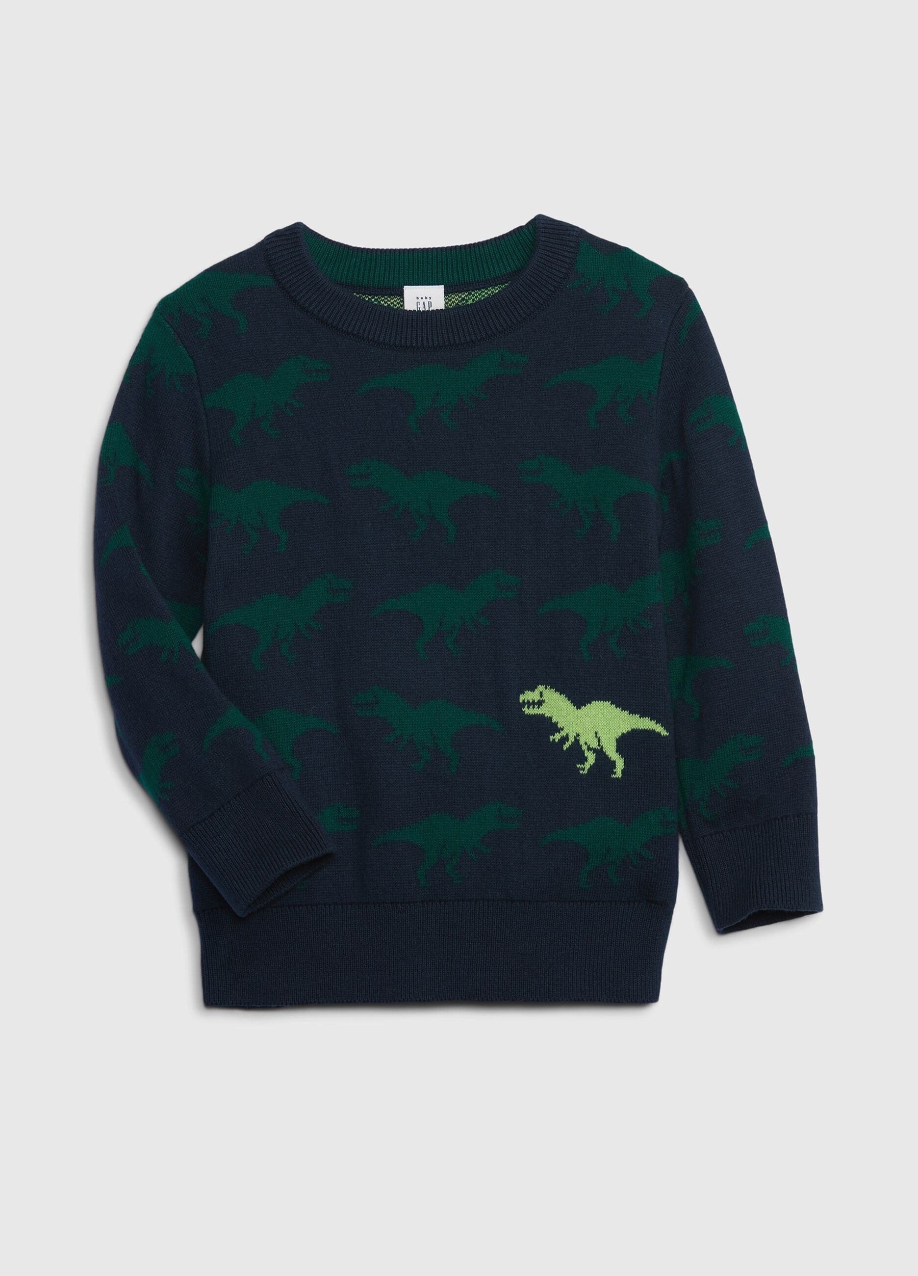 Pullover con disegno dinosauri