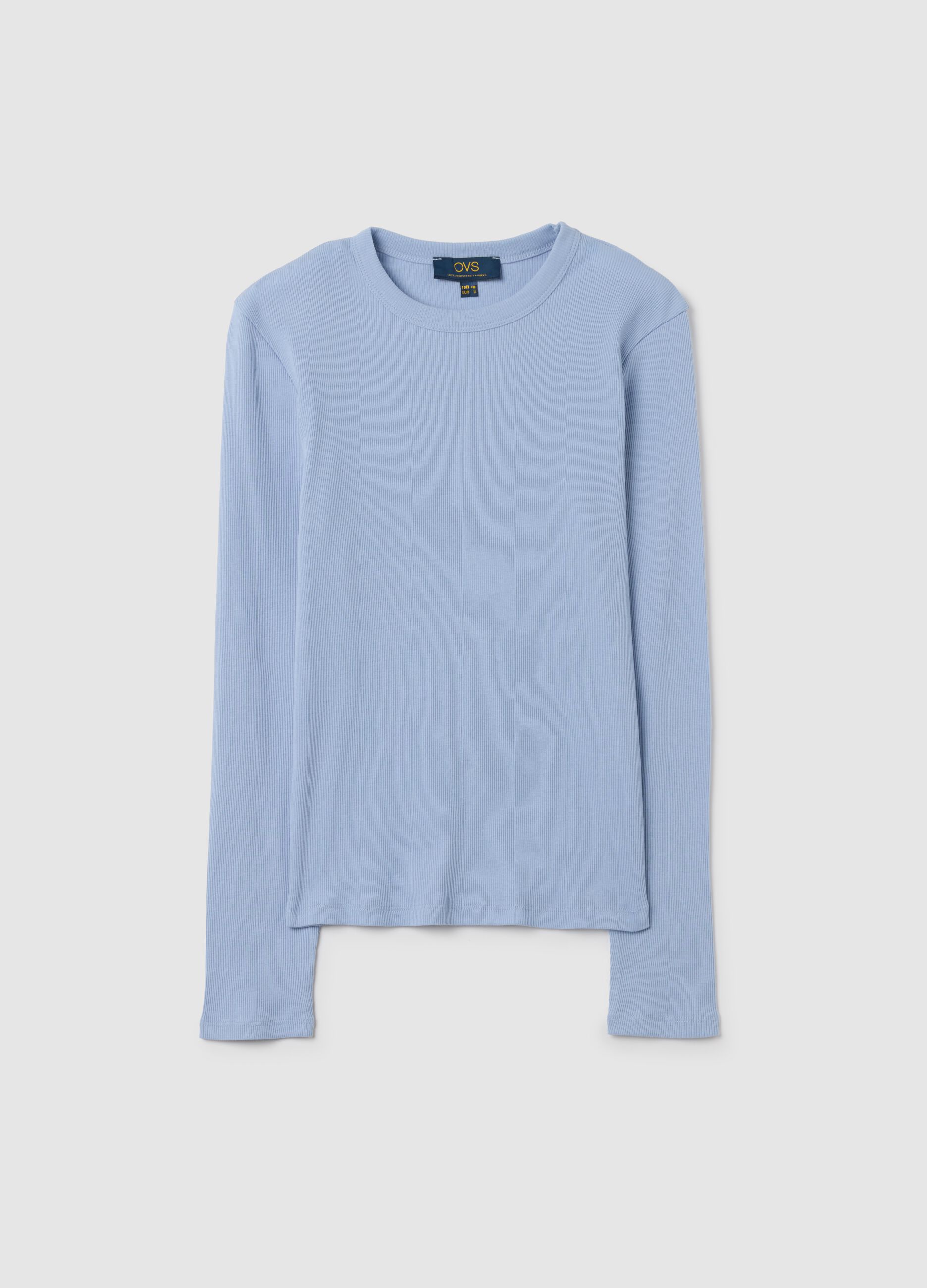 Regular Fit Blue Pure Cotton T-Shirt