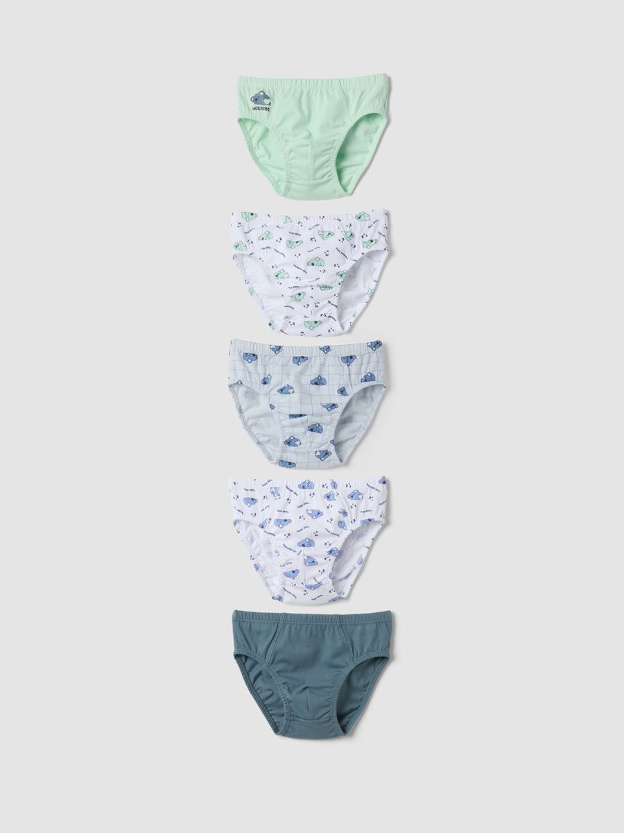 Multipack di cinque slip multicolor in puro cotone organico con fantasia koala_0