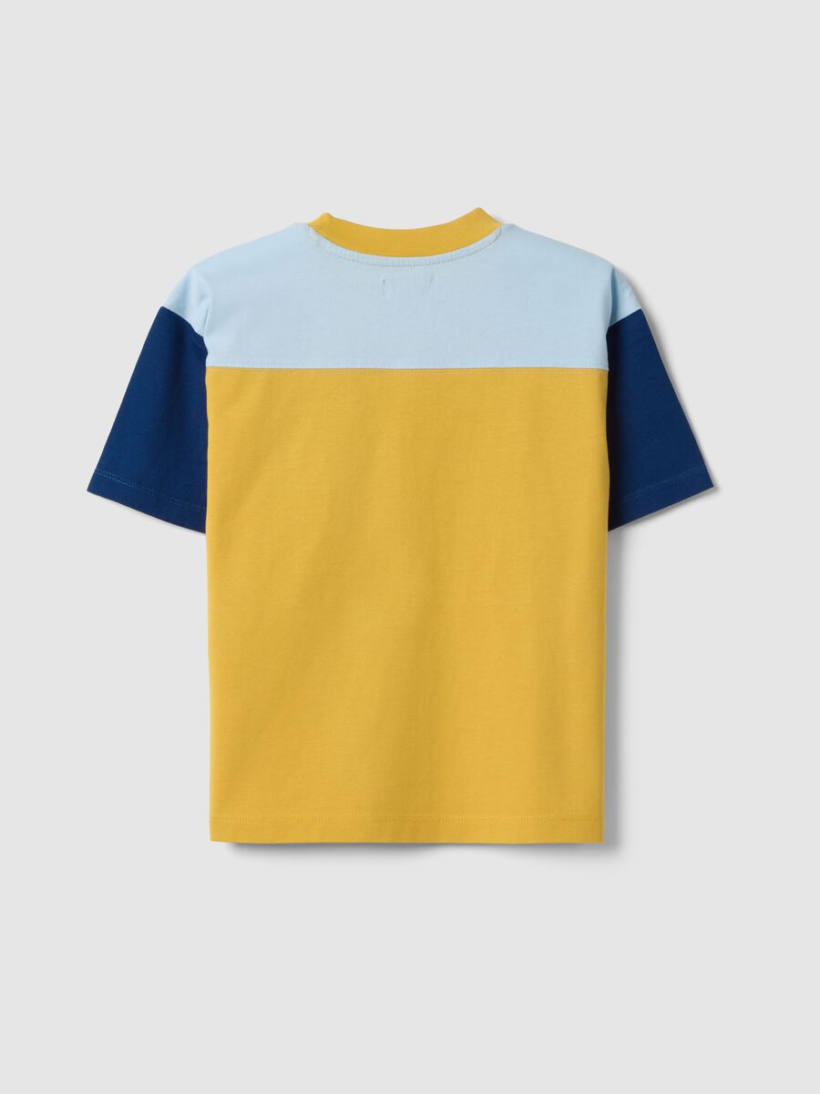 T-shirt in puro cotone multicolor da bambino regular fit con numero 23_4