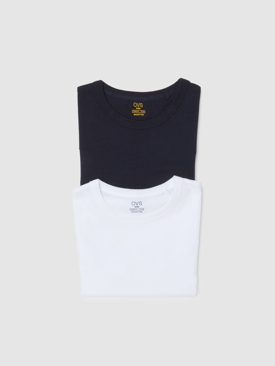 Kids' multicolour regular fit cotton t-shirt twin pack_3