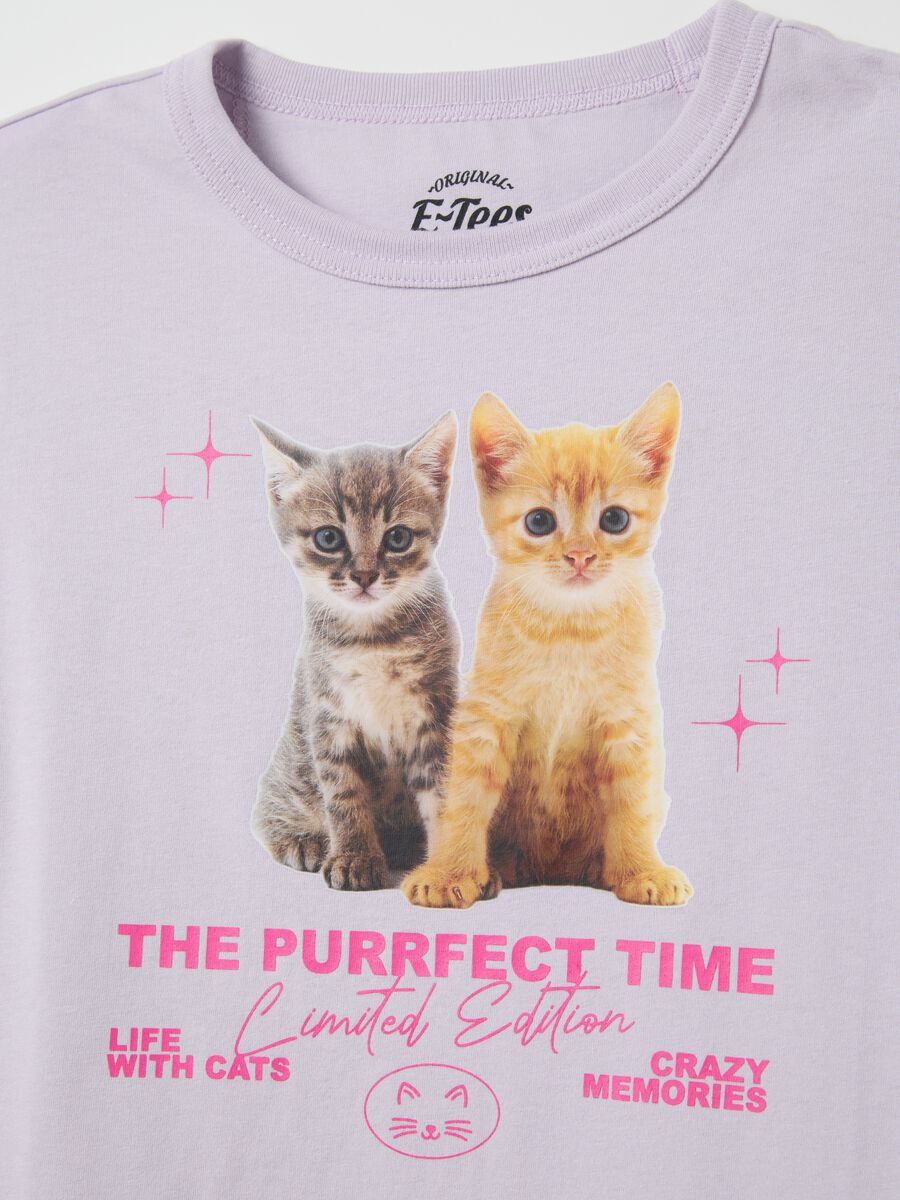 Purple T-shirt in cotton with kittens print_5