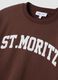 Brown cotton-blend sweatshirt with shirt-effect insert, regular fit_1