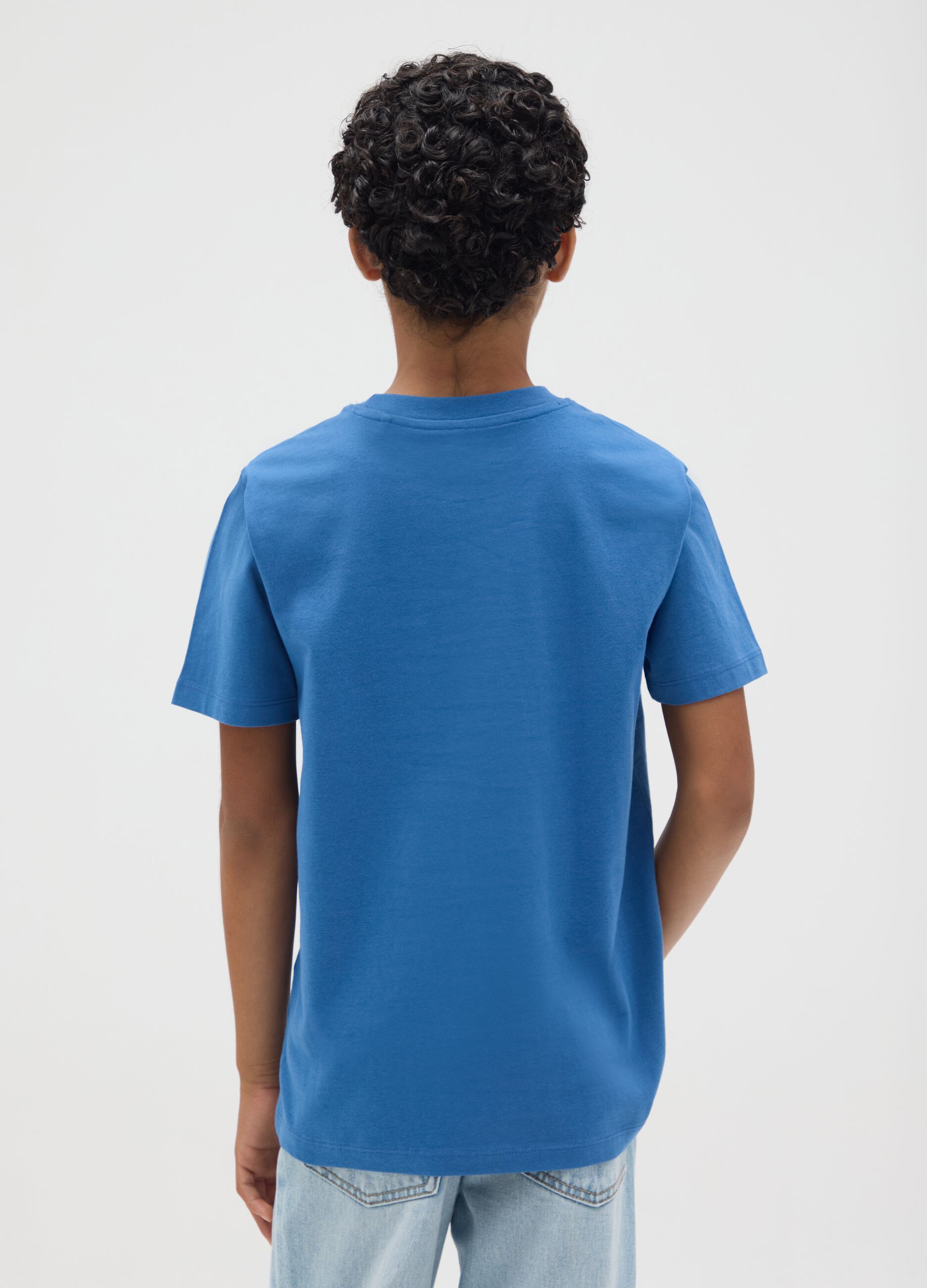 Boys' Pure Cotton Blue Regular Fit T-shirt with Print