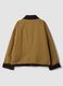 Brown pure-cotton jacket with ribbed collar_2