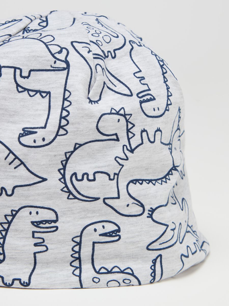 Hat and neck warmer set with dinosaurs print_2