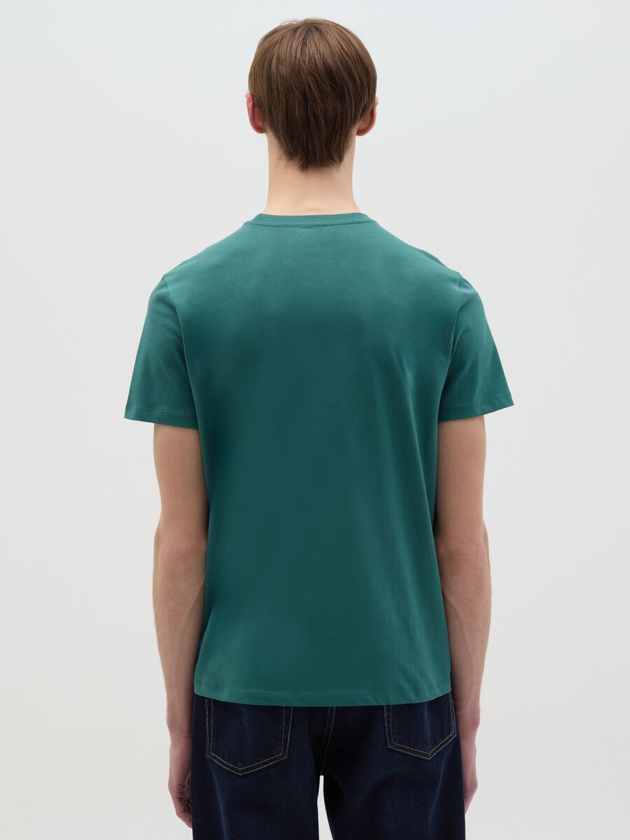 Organic cotton T-shirt_3