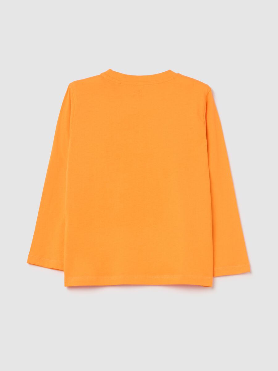 Long-sleeved T-shirt in cotton with print_1