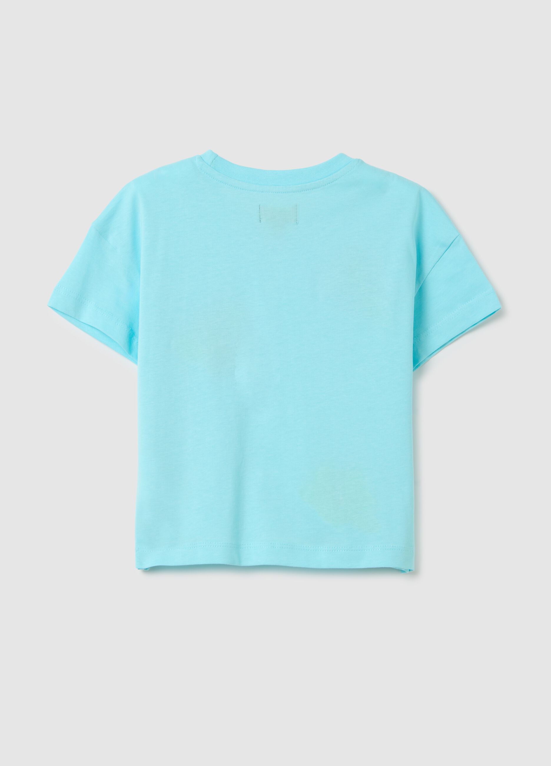Boxy fit light blue T-shirt with embroidered flowers