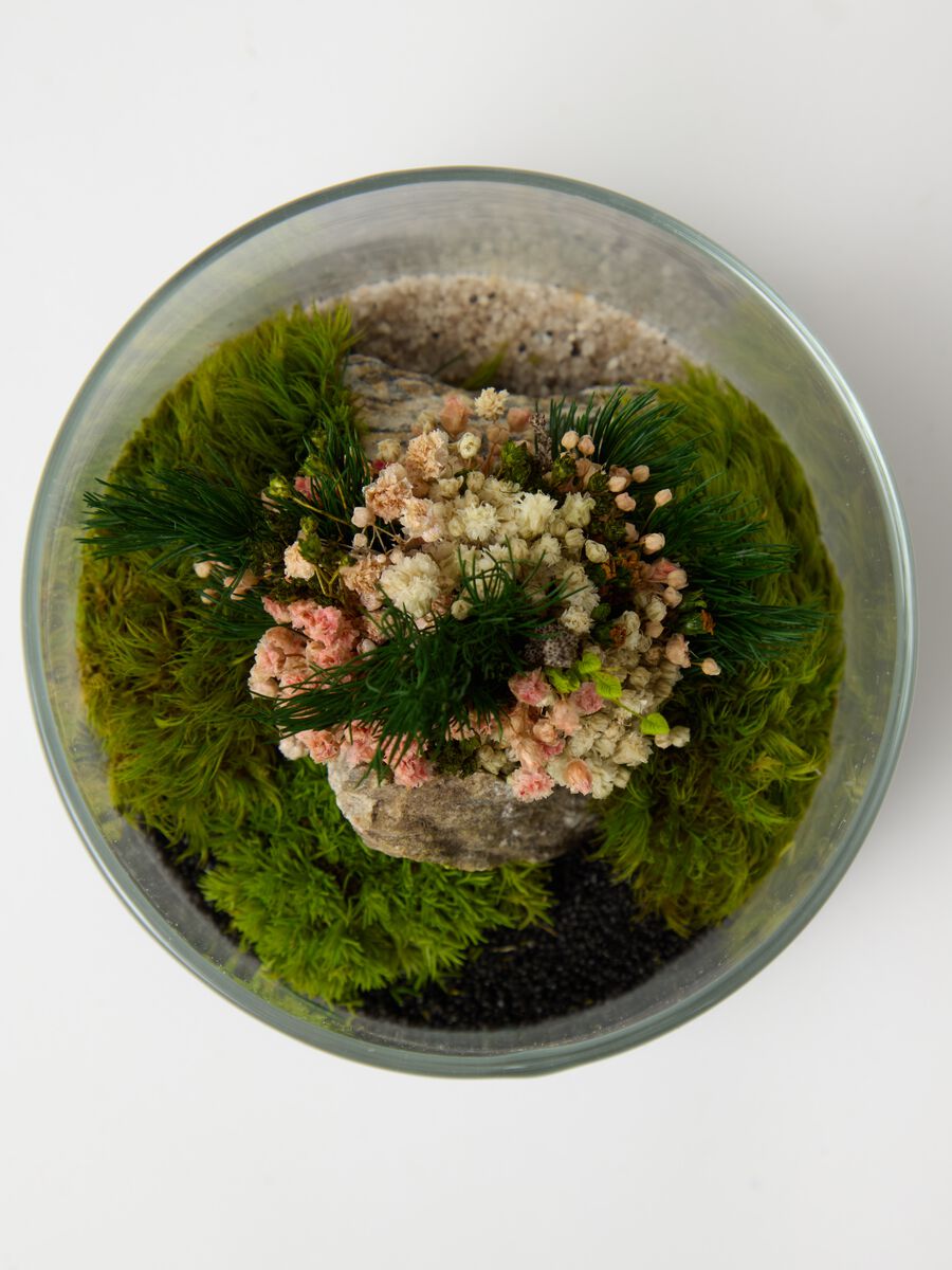 Evergreen Terrarium_2