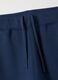 Blue Regular Fit Cotton Blend Jogger Trousers_5