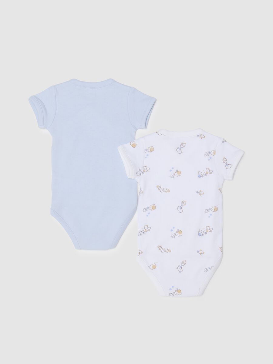 Two-pack multicolour newborn bodysuit in pure cotton_1