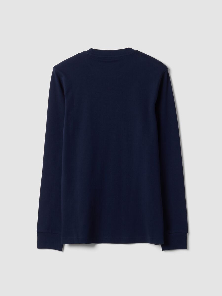 Blue pure cotton crew-neck T-shirt, regular fit_2