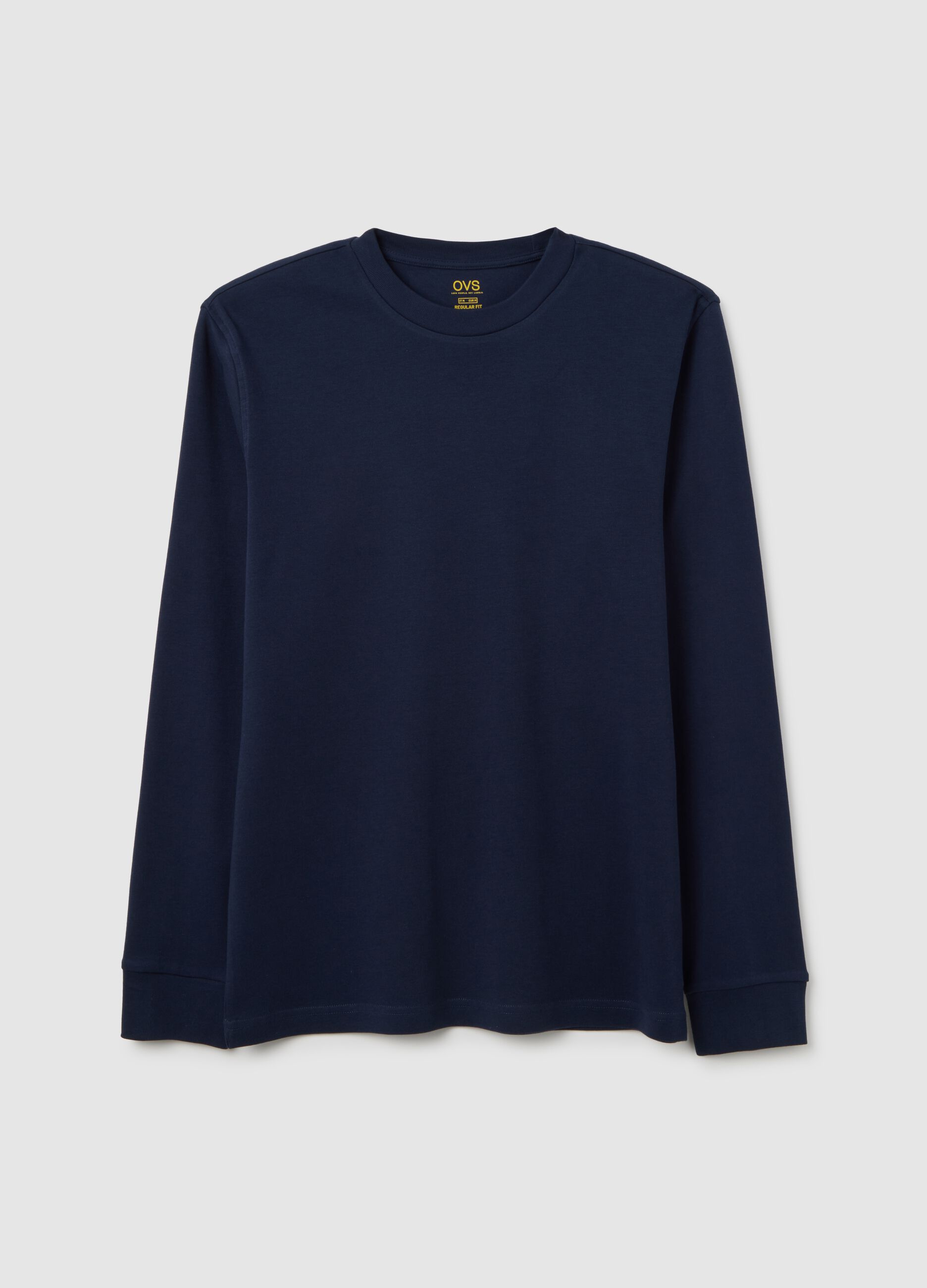 Blue regular fit pure cotton sweater