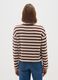 Regular fit multicolour striped jumper_2