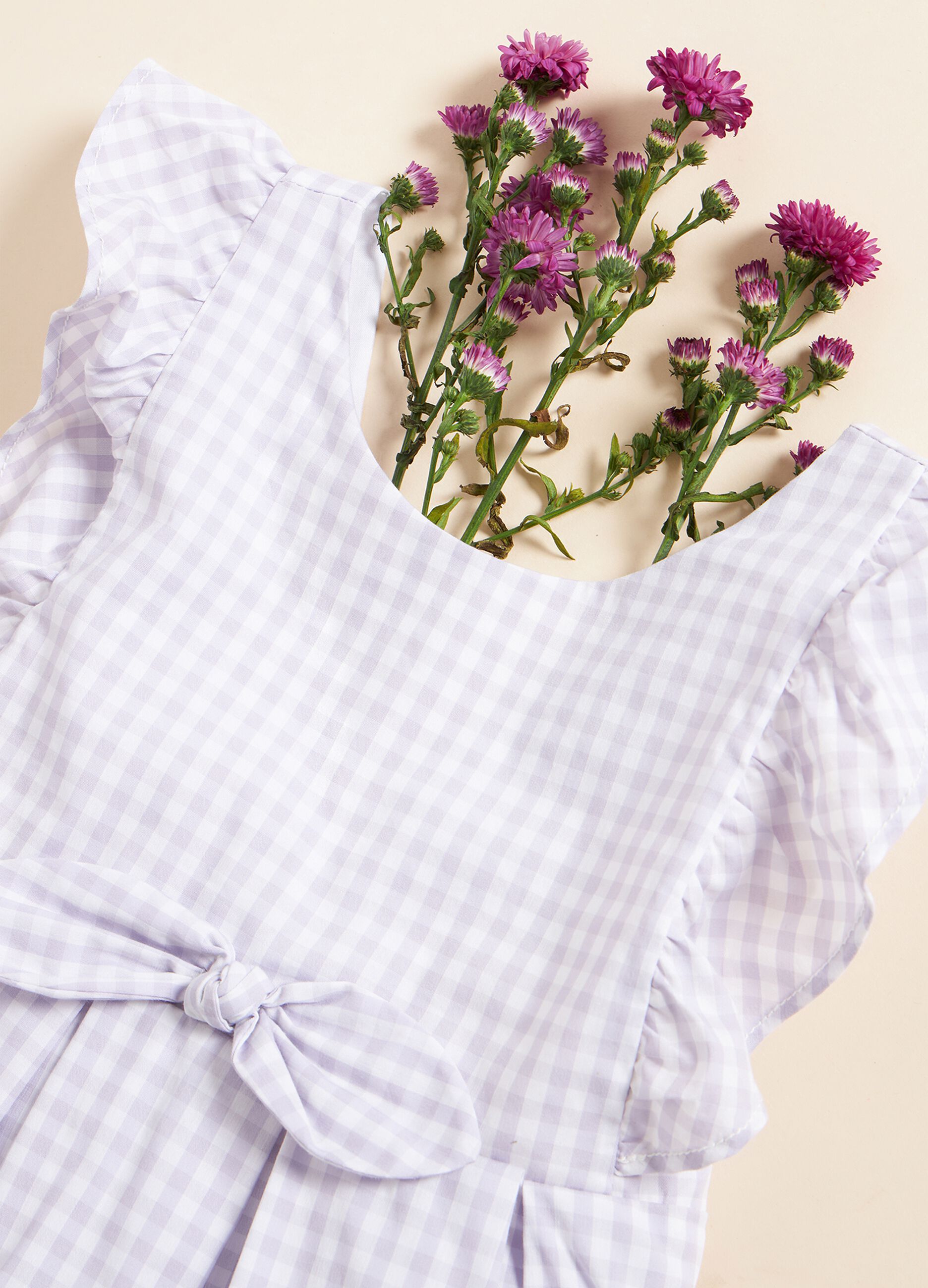 IANA gingham dress in poplin