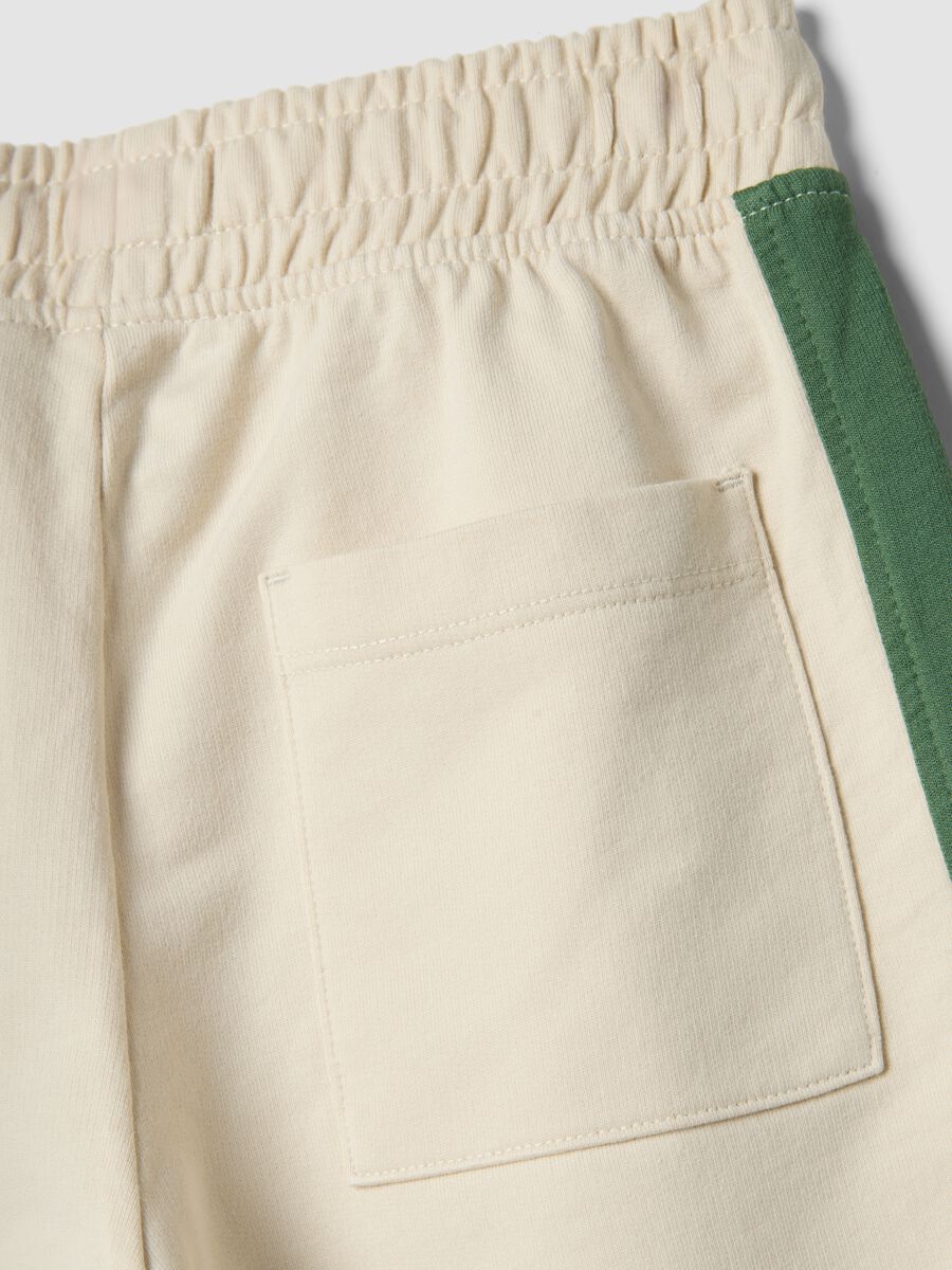 Multicoloured pure cotton regular fit shorts for boys_3