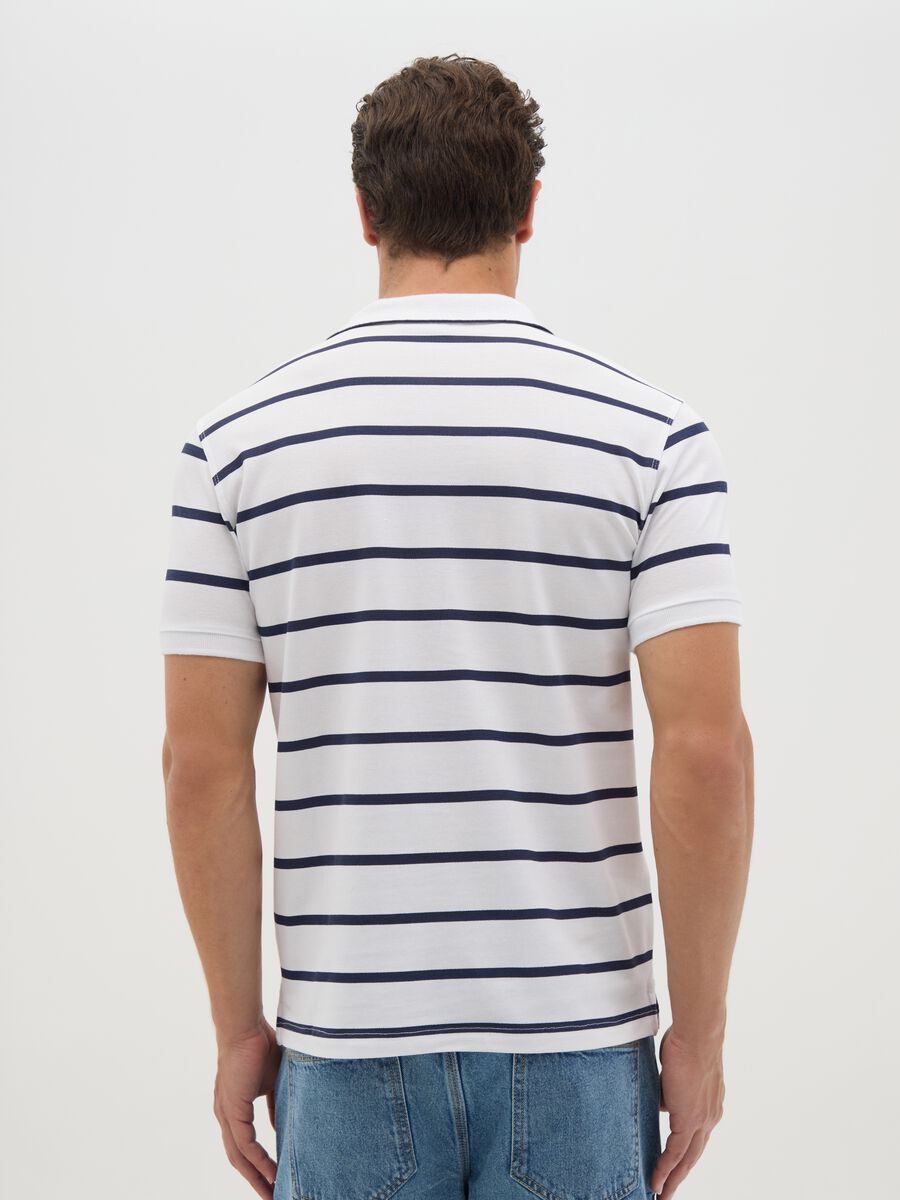Men's Polo Shirt in Pure Multicolour Cotton_3