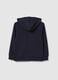 Children's Regular Fit Blue Cotton Hoodie_1