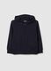 Children's Regular Fit Blue Cotton Hoodie_0