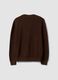 Brown pure cotton jumper with deep V-neck, regular fit_2