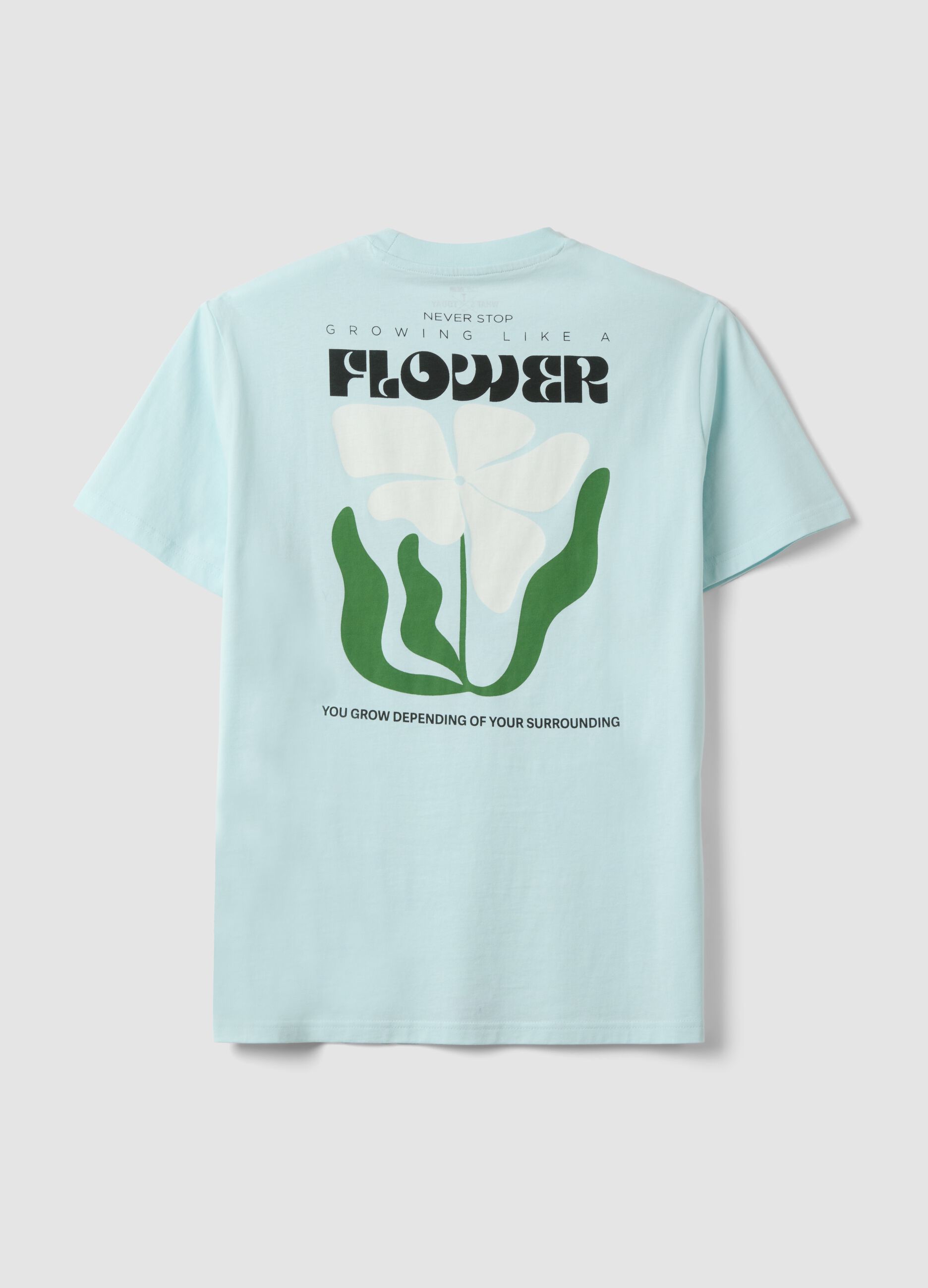 Light blue pure cotton jersey T-shirt with print, regular fit