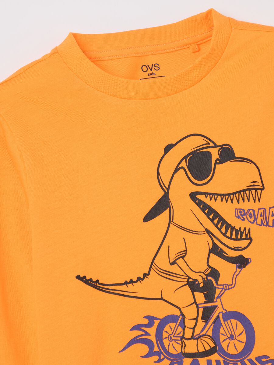 Long-sleeved T-shirt in cotton with print_2