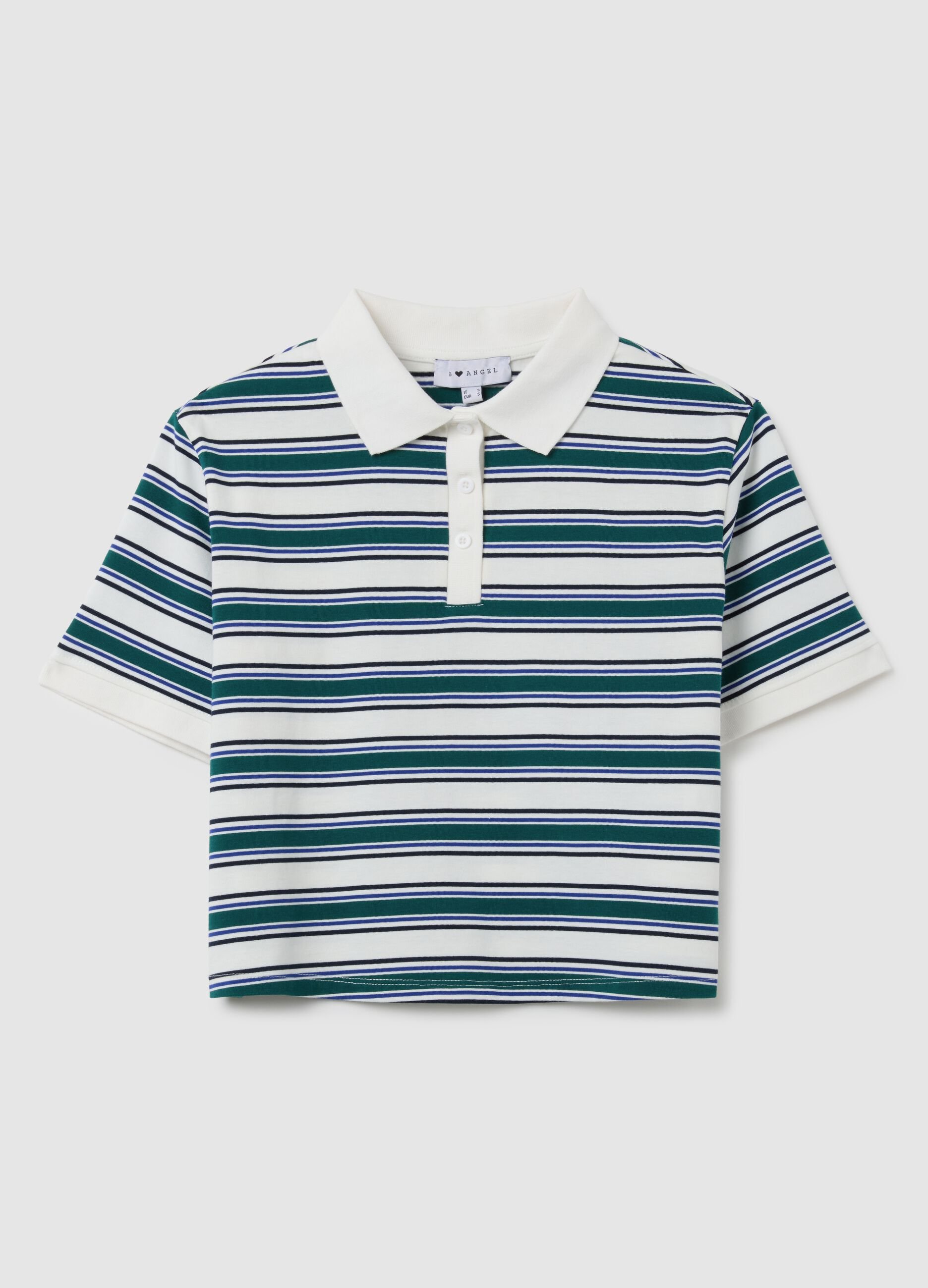 Multicolour pure cotton regular fit polo