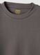 Grey crew-neck pure cotton T-shirt_1
