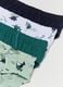 Five-pack organic cotton briefs with dinosaurs print_2