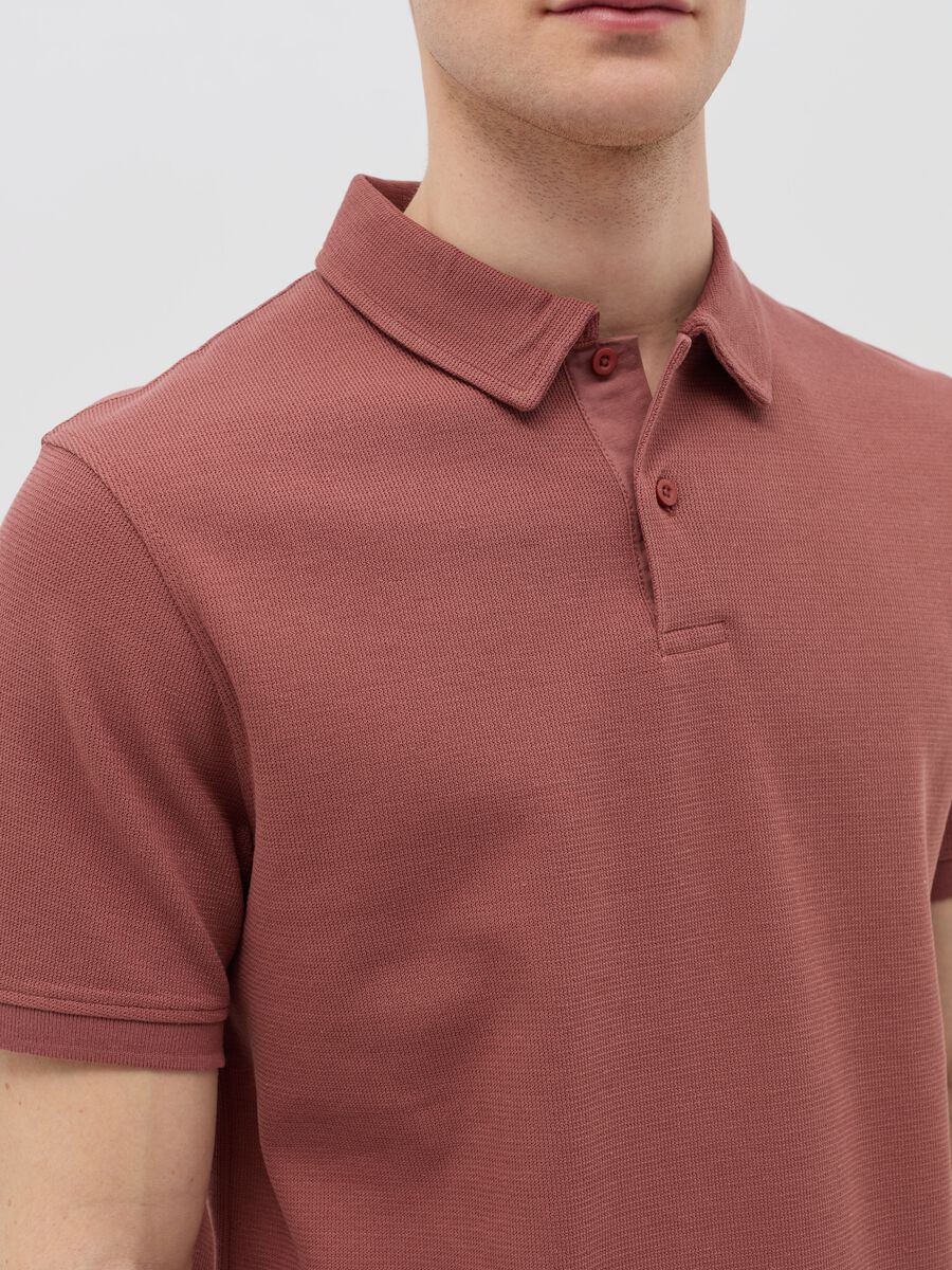 Regular fit polo shirt in jersey_2