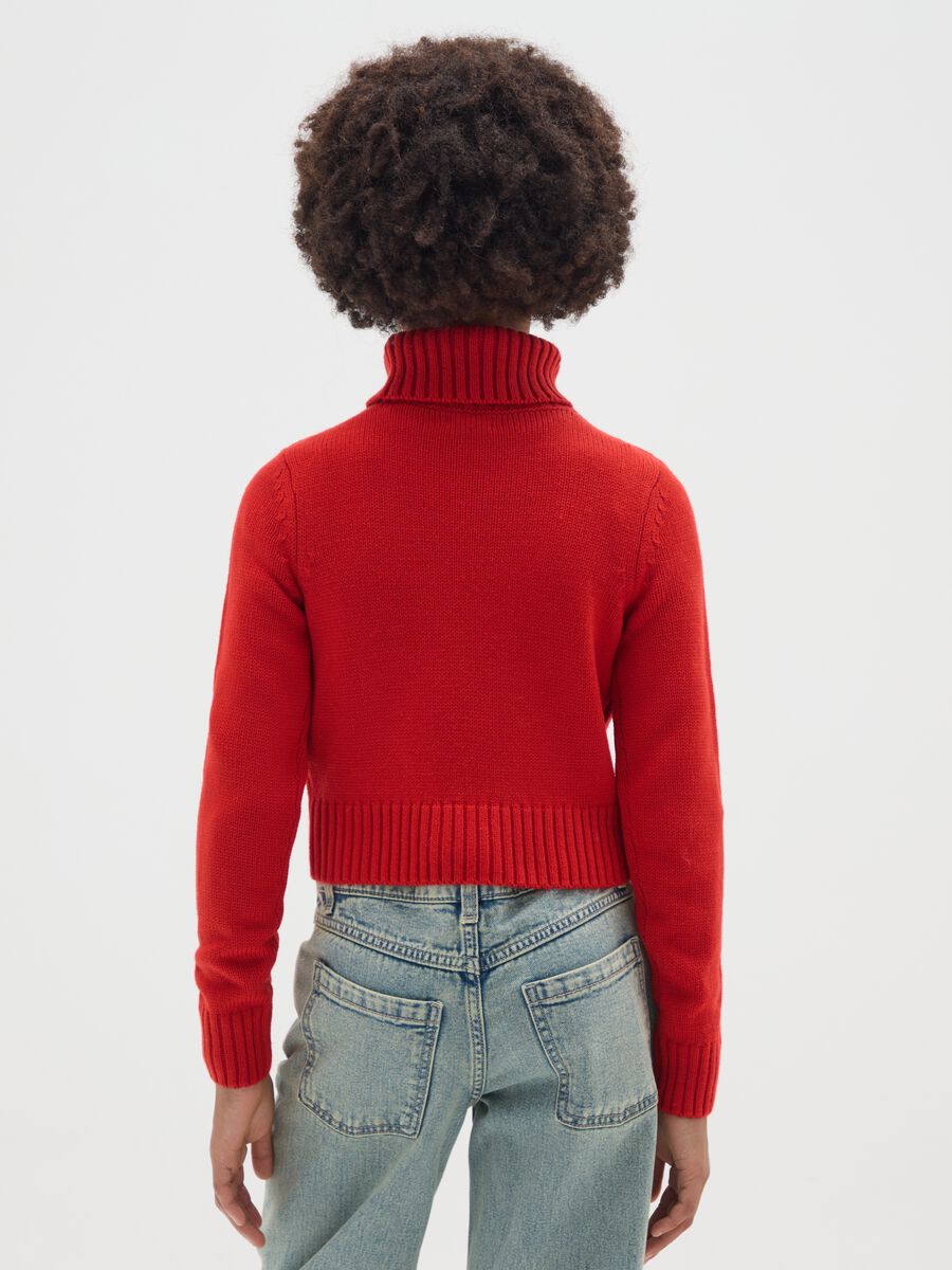 Girls' Regular Fit Red Turtleneck Sweater_1