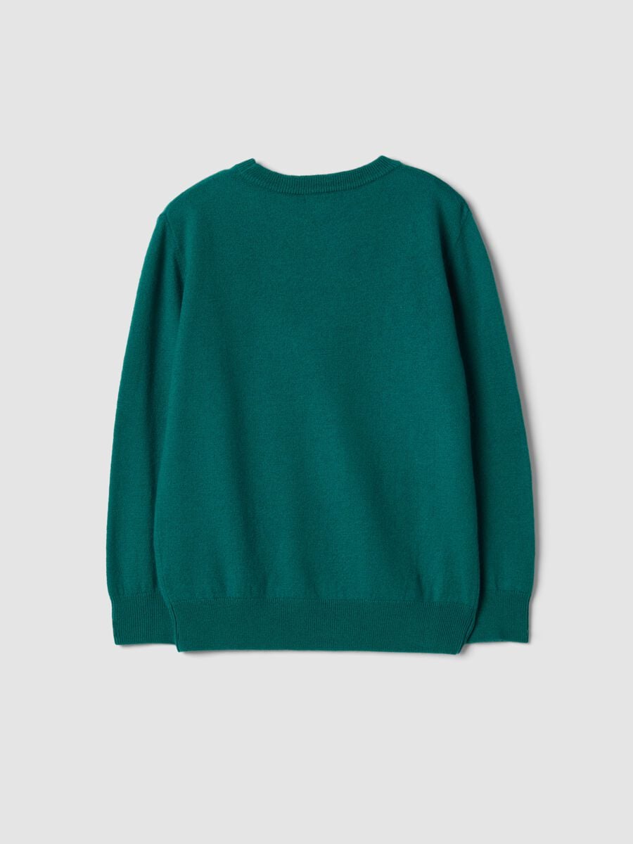 Maglia verde in pura lana a maniche lunghe regular fit_5