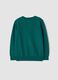 Green pure wool long-sleeve jumper, regular fit_5