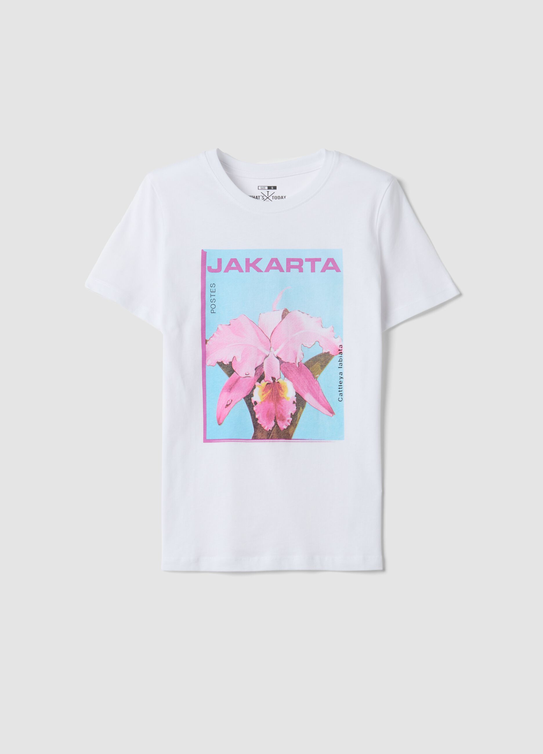 White pure cotton T-shirt with front print