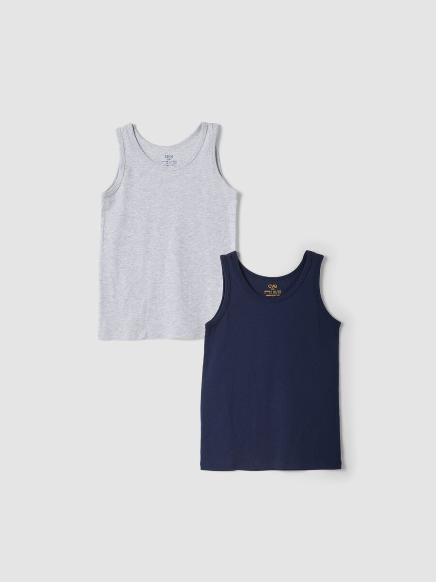 2-pack blue and grey crew-neck vests in pure organic cotton_0
