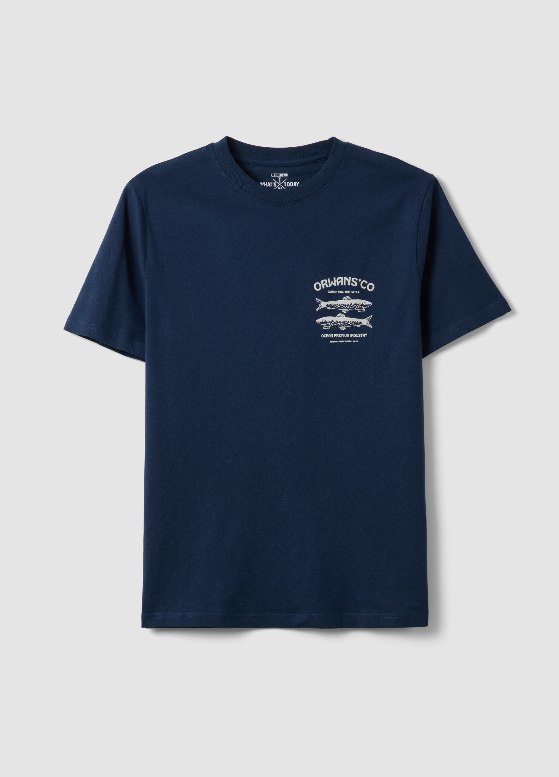 Blue short-sleeved T-shirt in 100% cotton