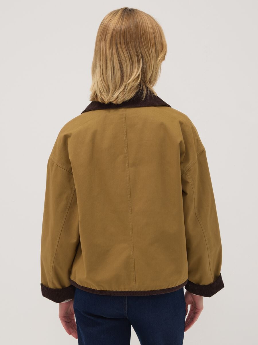 Brown pure-cotton jacket with ribbed collar_3