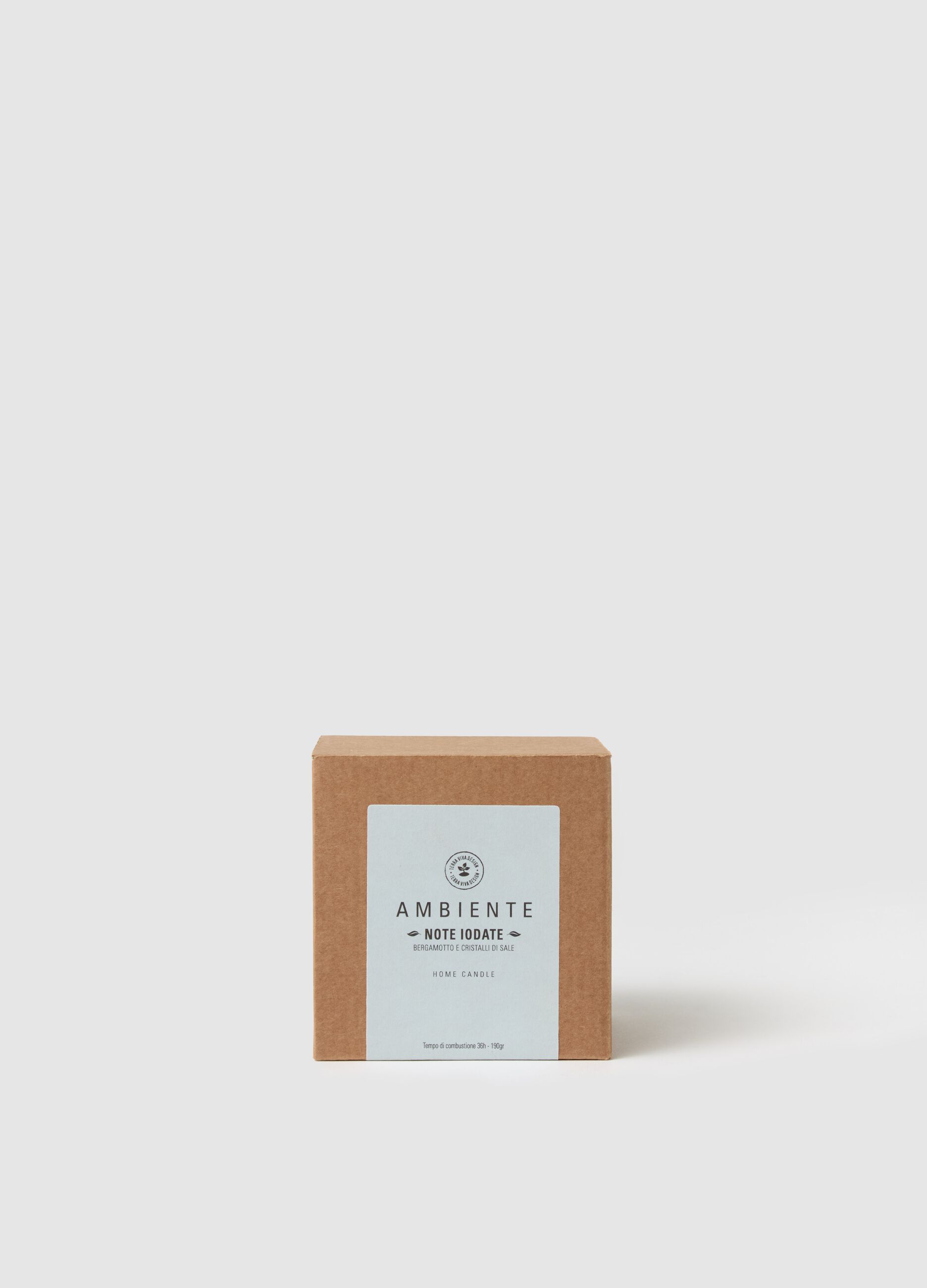 Ambient Candle "Iodized Notes"