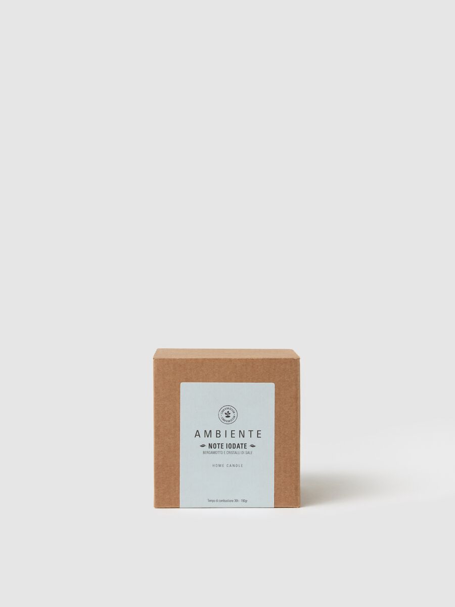 Ambient Candle "Iodized Notes"_0