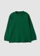 Green long-sleeve crew-neck pure cotton T-shirt for boys_0