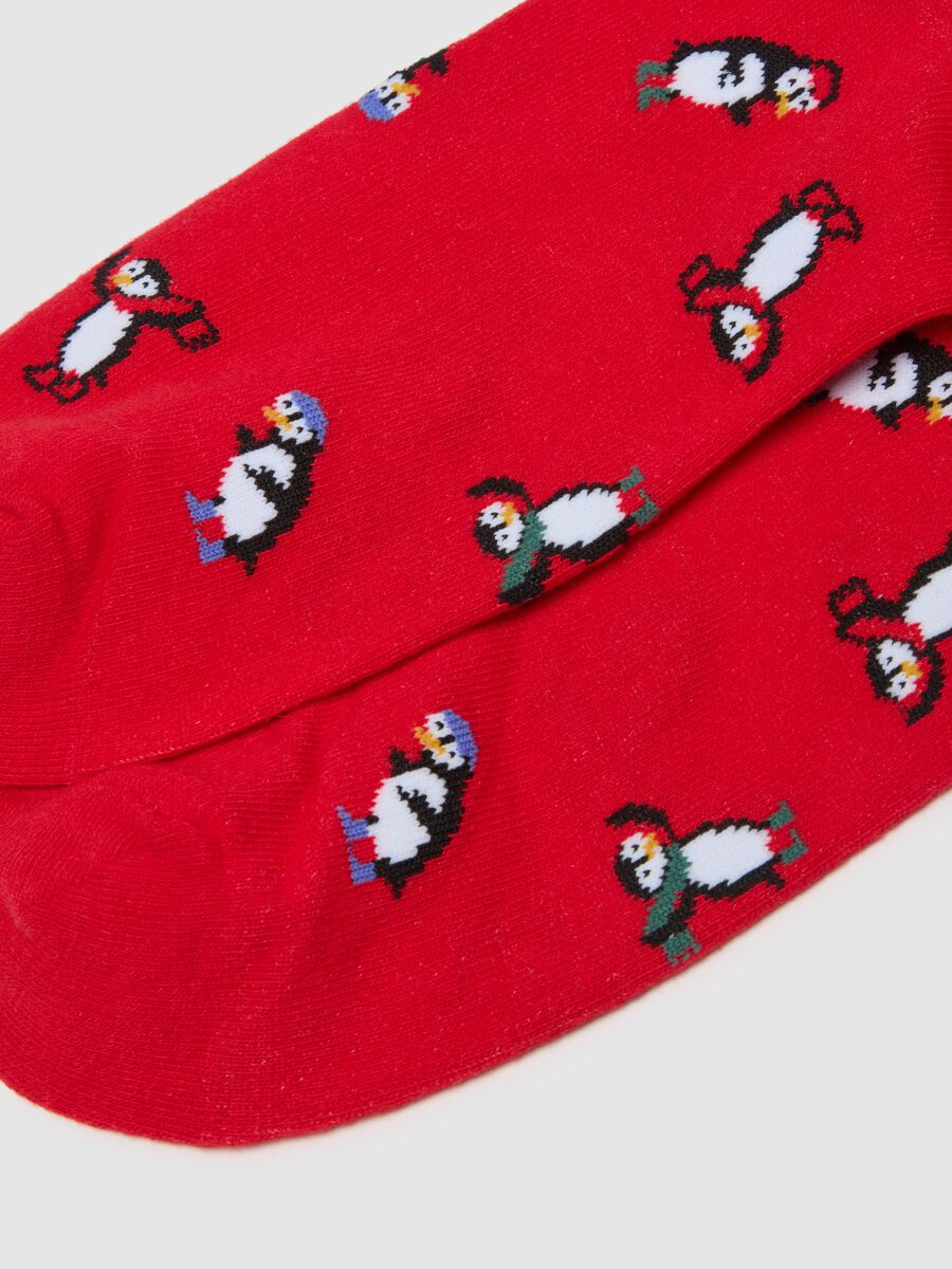 Red Cotton Blend Long Socks with Print_2