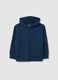 Children's blue pure cotton regular fit sweatshirt_0