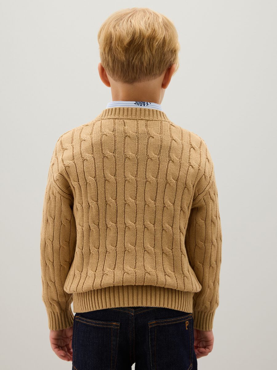 Beige pure cotton regular fit children's jumper_2
