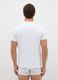 White regular fit pure cotton t-shirt_2