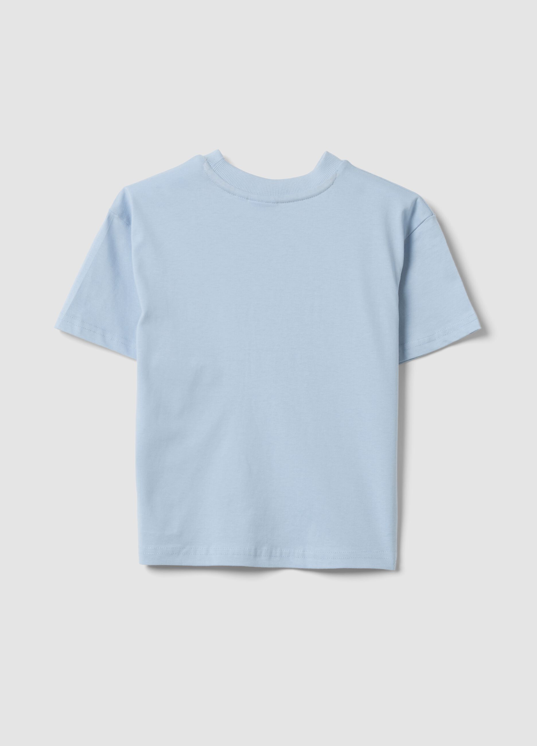 Light blue pure cotton printed T-shirt, regular fit