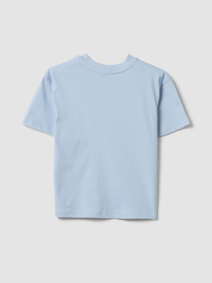 Light blue pure cotton printed T-shirt, regular fit_1