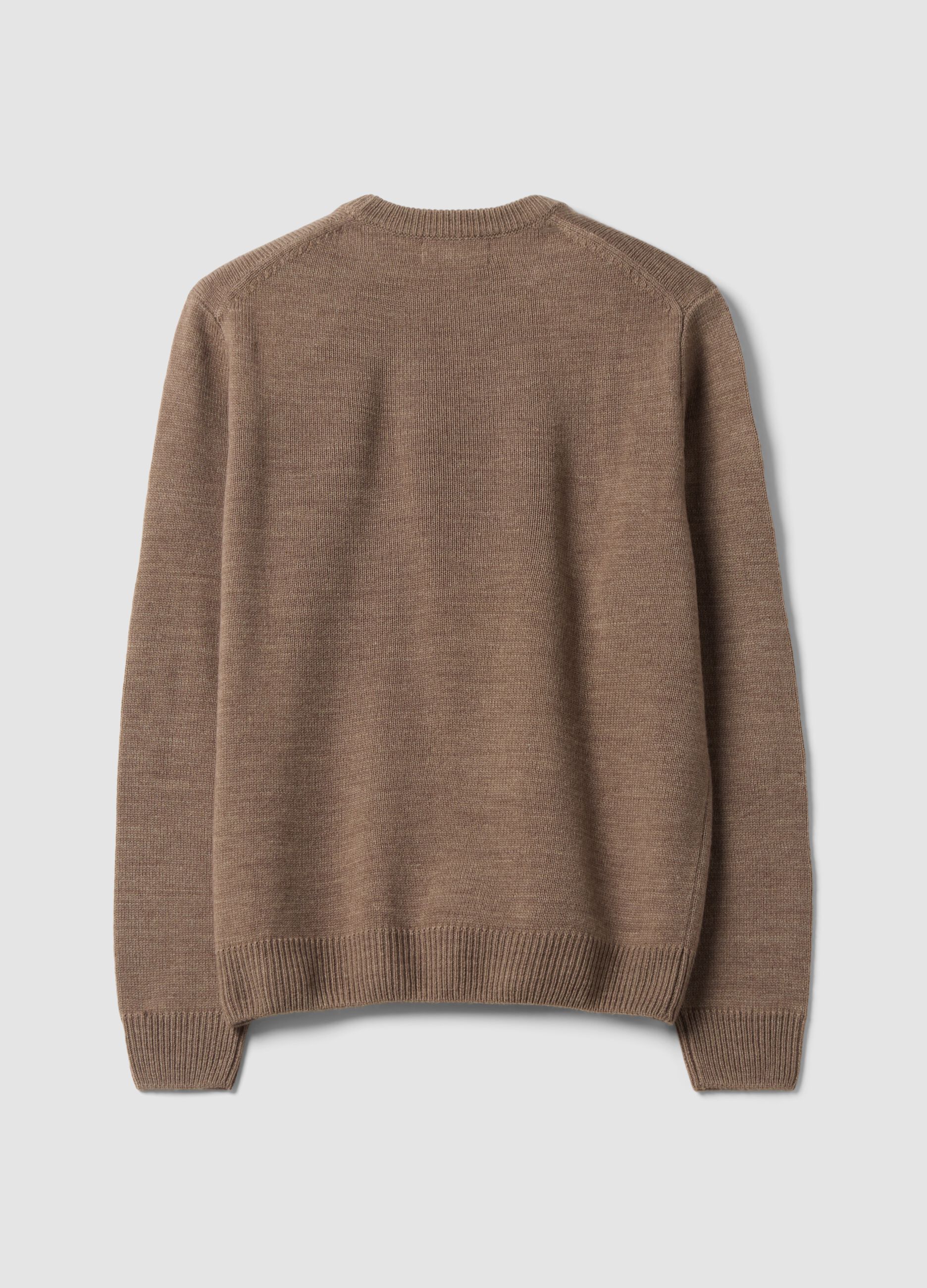 Brown crew-neck jersey knit jumper, regular fit
