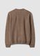 Brown crew-neck jersey knit jumper, regular fit_2