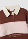 Brown striped cotton-blend sweatshirt with collar, relaxed fit_1